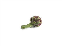 Hoa artichoke