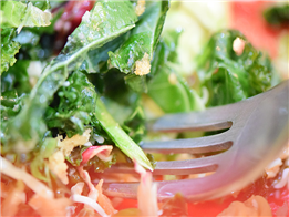 Salad cải xoăn