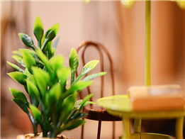 Bộ đồ chơi quán cafe