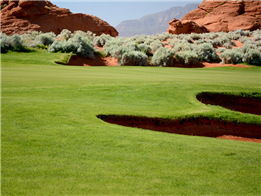 Sân golf
