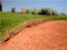 Sân golf