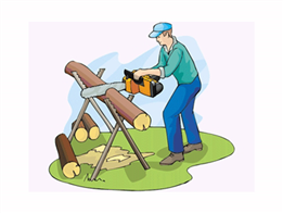 Người đàn ông đang cưa khúc cây
