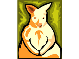 Con kangaroo
