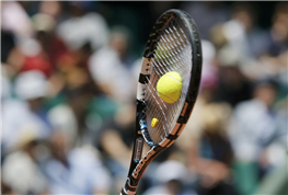 Biến dạng của bóng Tennis
