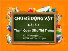 Tham Quan Siêu Thị Trứng